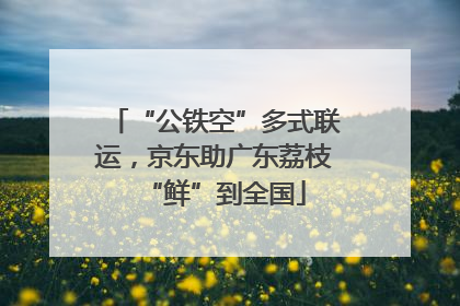 “公铁空”多式联运，京东助广东荔枝“鲜”到全国